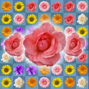 Blossom Link: Flower Connect