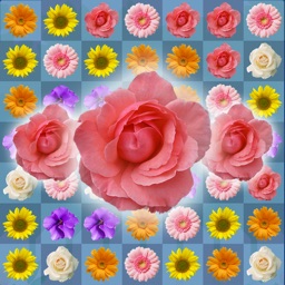 Blossom Link: Flower Connect