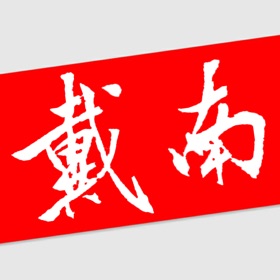 螢幕擷取畫面 (3) 戴南在线