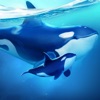 World of Water: Great Journey icon