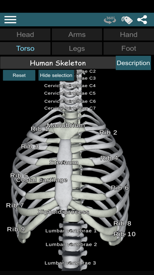 #4. Bones 3D (Anatomy) (iOS) 由: Victor Gonzalez Galvan
