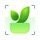 Verde Finder : identify plants
