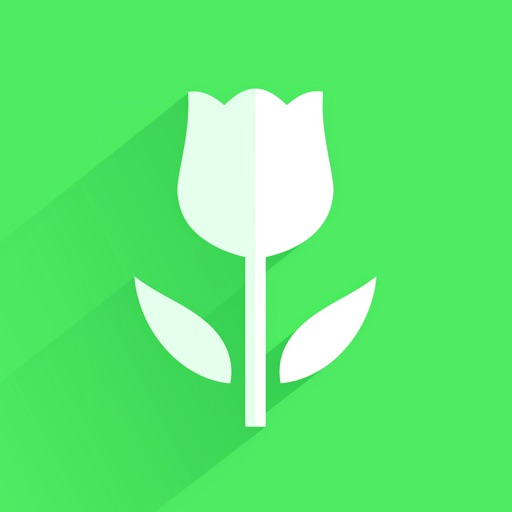 Plantoo: AI Plant Identifier