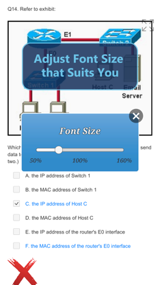 CISA Certification Exam screenshot 5