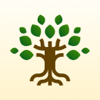 Family Tree: Search Ancestry - MS GESTION&CONSEIL new Single