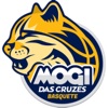 Mogi Basquete icon