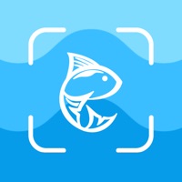 Fish Identifier Scan Photo AI