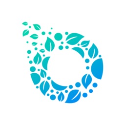 EcoWheel Rider