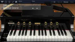 korg module pro problems & solutions and troubleshooting guide - 3