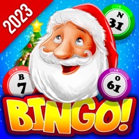 Bingo Christmas Holidays 2024
