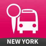 NYC Bus Checker App Positive Reviews