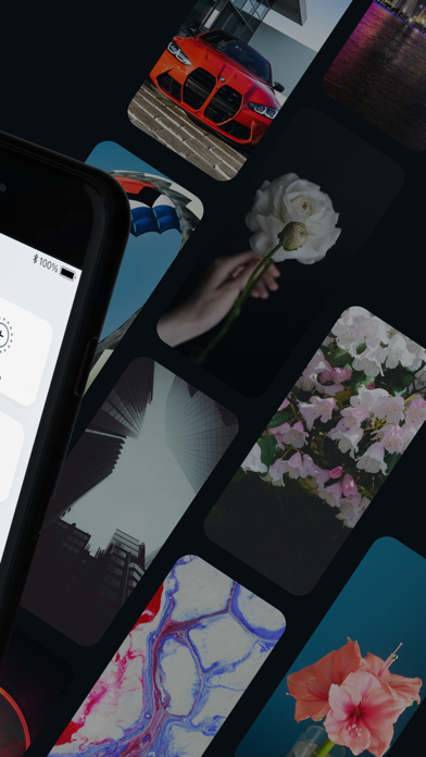 Live Wallpapers & Watch Faces Screenshot