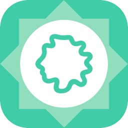 Hislo: Trips & Experiences