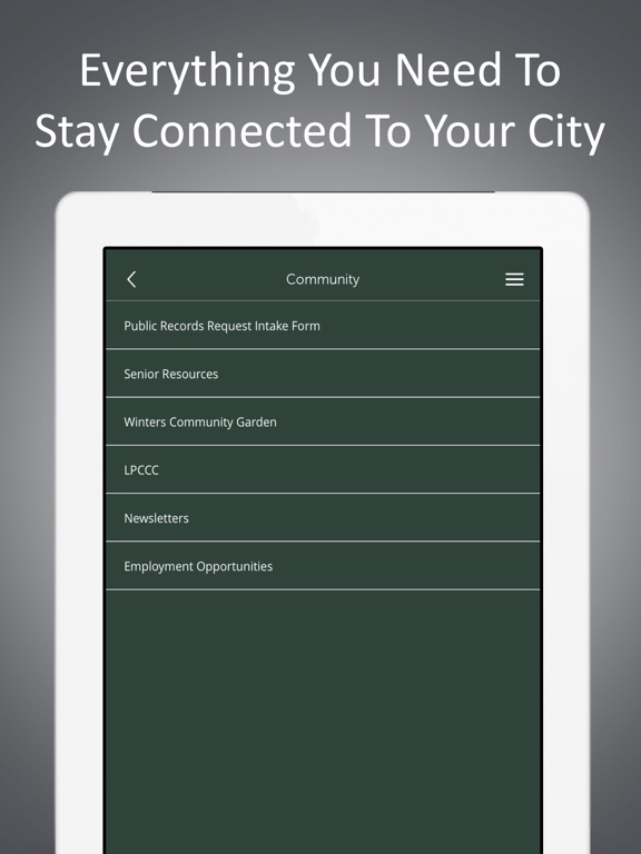 Screenshot #6 pour City of Winters