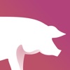 iSperm Swine 6 icon