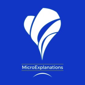 Micro Explanations