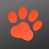 PitPat icon