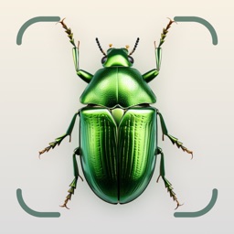 Identifier Insectes Pro