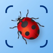 Bug Identifier: Insect ID (AI)