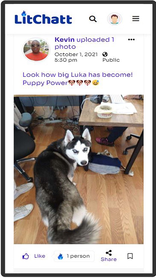 #5. LitChatt.com (iOS) 来自: LitChatt, LLC