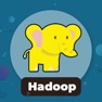 Get Learn Hadoop & Big Data for iOS, iPhone, iPad Aso Report