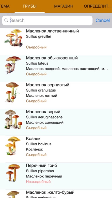 Mushrooms - Photo Identifier Screenshot