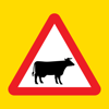Cyprus road signs 2025 - Semen Abramenko