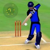 Smashing Cricket: cricket game icon