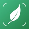 AI Plant Identifier・Care－Lily icon