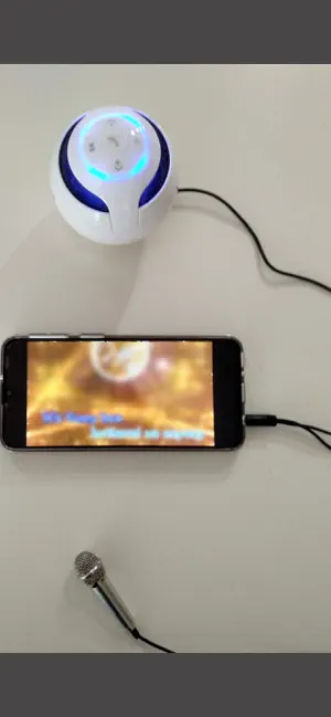 Mic Speaker screenshot 1