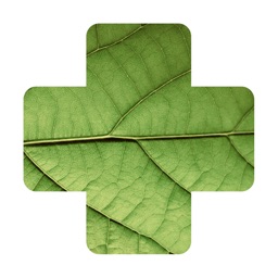 Plante Malade - Reconnaissance