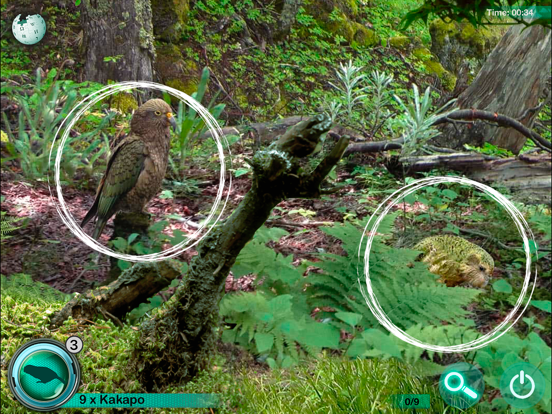 Hidden Animals: Seek and Find iPad screenshot 5 - Games app