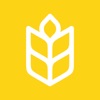 Kneady: Bread & Baking Recipes icon