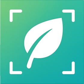 螢幕擷取畫面 (6) Plant Identifier - Leaf Snap