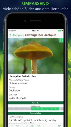 Screenshot von Pilze 123 auf dem iPhone 2
