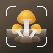 Mushroom identification: AI