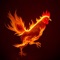 Chicken App: Files Transfer