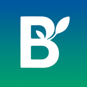 BudNote: AI Budget Spend Track