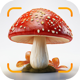 Mushroom Identifier, Shroom ID