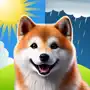 Woof Weather - Dog Forecast