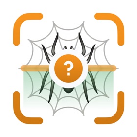 Spider Identifier & Scanner