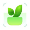 Verde Finder:Plant Identifier icon