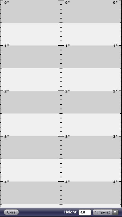 Screenshot #1 pour Ruler App