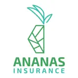Ananas Insurance - Icône de l’app