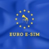 Euro E-SIM icon