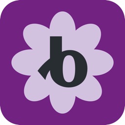 Bloomerang Volunteer