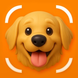 Dog Breed Identifier - Casper