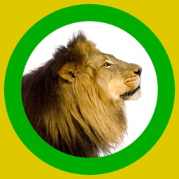 Animaux 360x