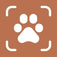 Dog Breed Identifier - Dogly