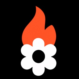 Burn & Bloom